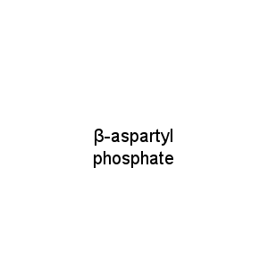 β-aspartyl phosphate